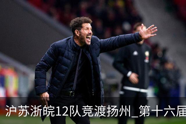 沪苏浙皖12队竞渡扬州 第十六届长三角龙舟赛擂鼓开桨